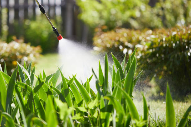 24/7 Emergency Fumigation Services experts in Waterloo, NE
