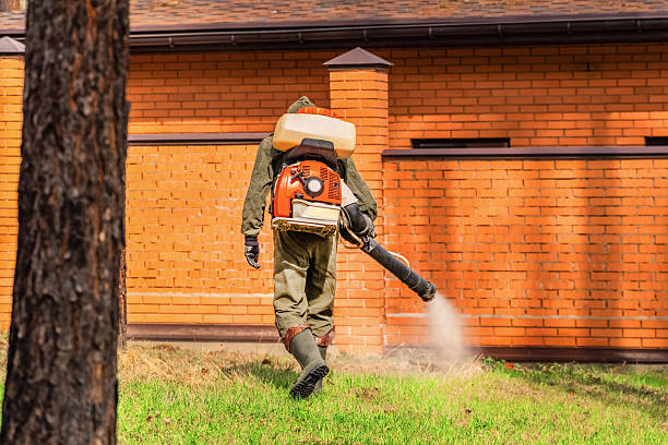 Top rated local Fumigation Services specialists in Waterloo, NE